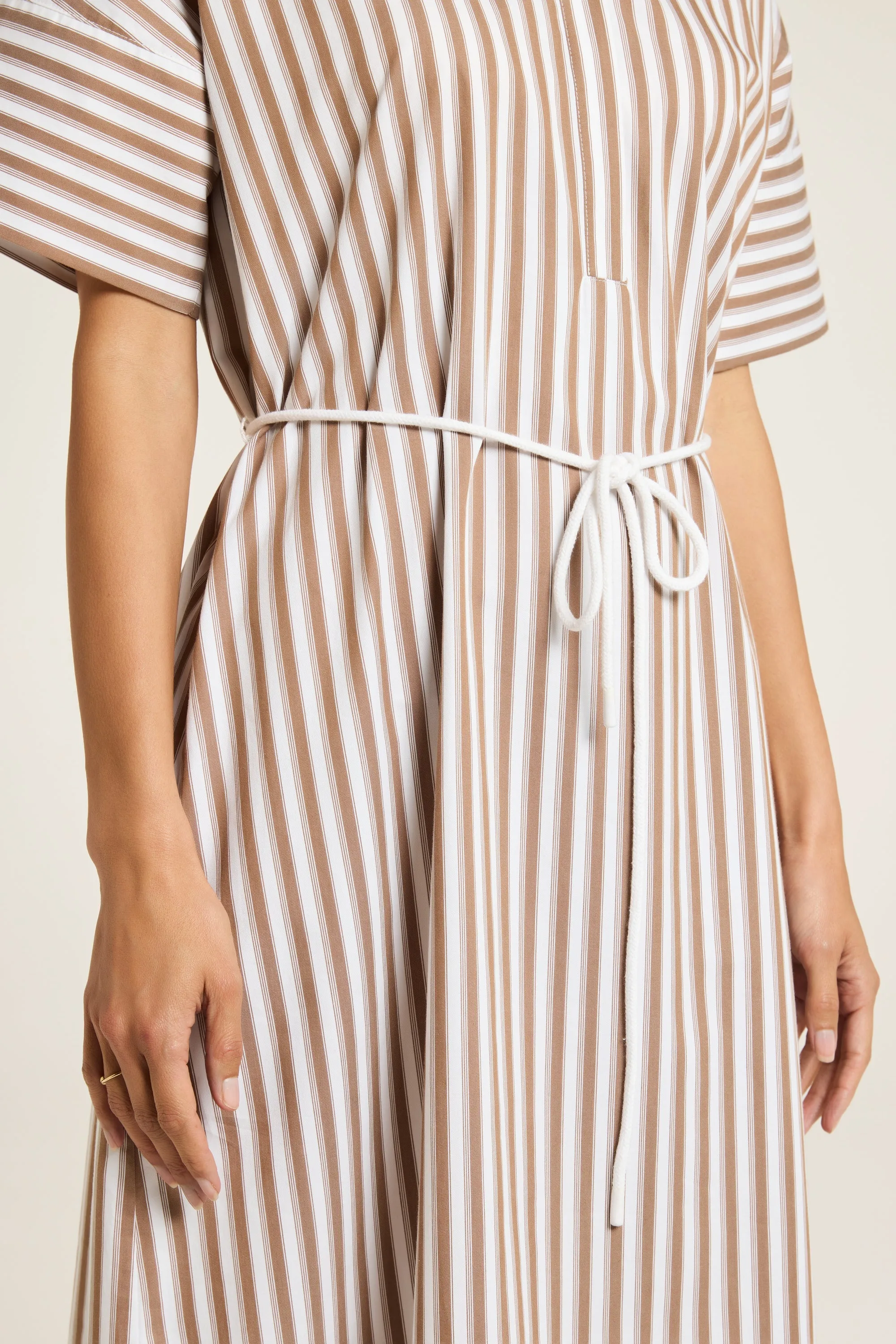 Ari Dress