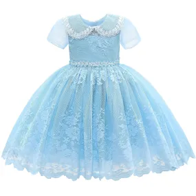 Blue Dolly Embroidered Dress