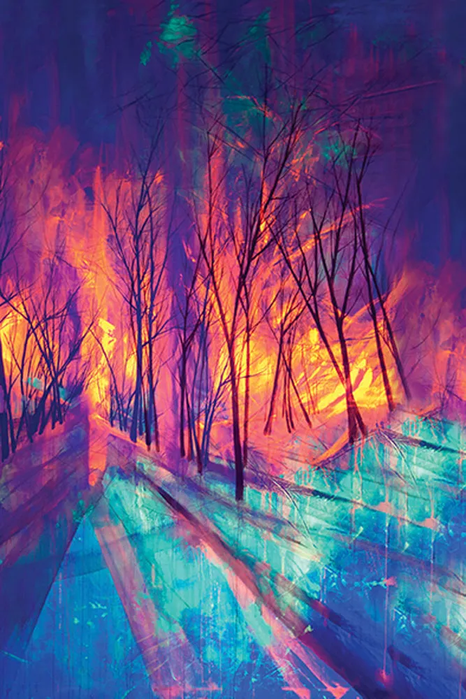 Elli Popp A Forest Into The Trees Wallpaper - Night