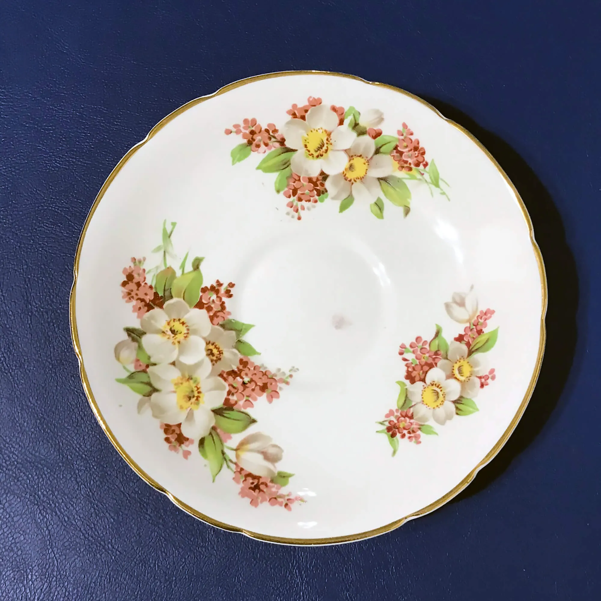 Regency Bone China Floral Cup and Saucer