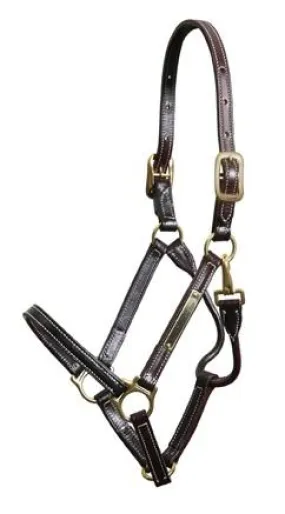 Walsh Showman Halter